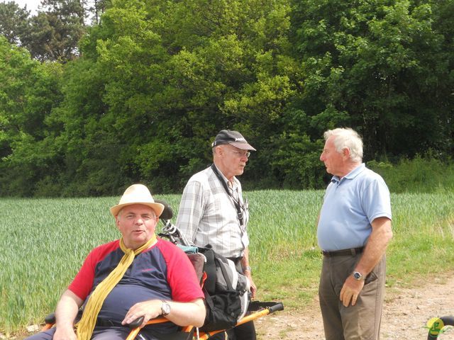 Randonnée joëlettes à Han-sur-Lesse