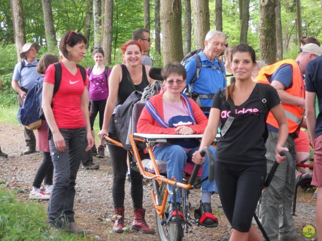 Randonnée joëlettes à Han-sur-Lesse