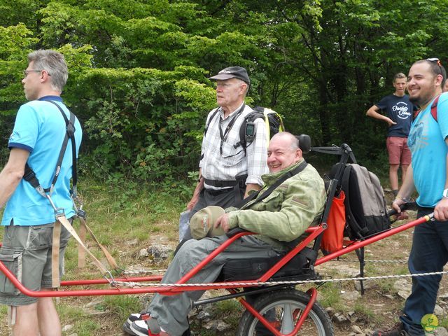 Randonnée joëlettes à Han-sur-Lesse