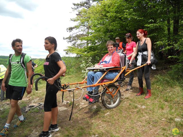 Randonnée joëlettes à Han-sur-Lesse