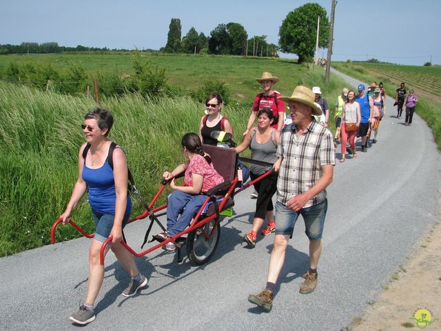 Randonnée joëlettes à Feluy