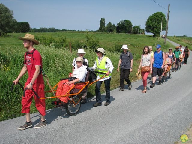 Randonnée joëlettes à Feluy