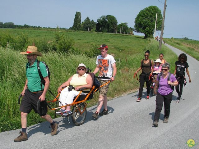 Randonnée joëlettes à Feluy