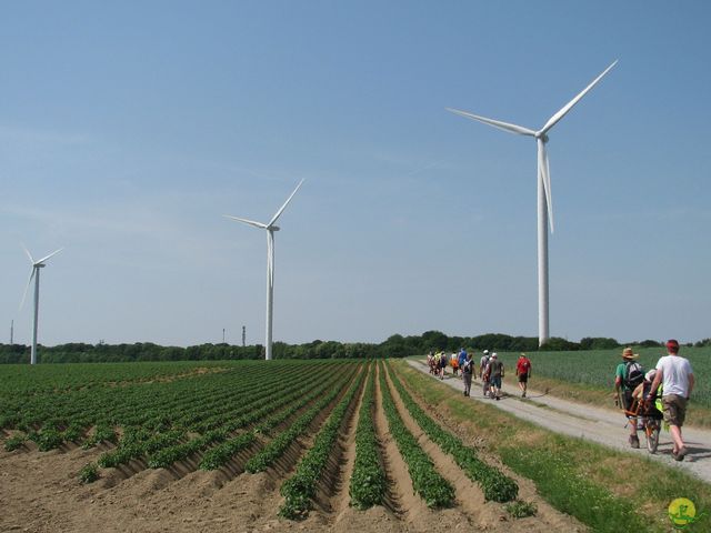 Randonnée joëlettes à Feluy