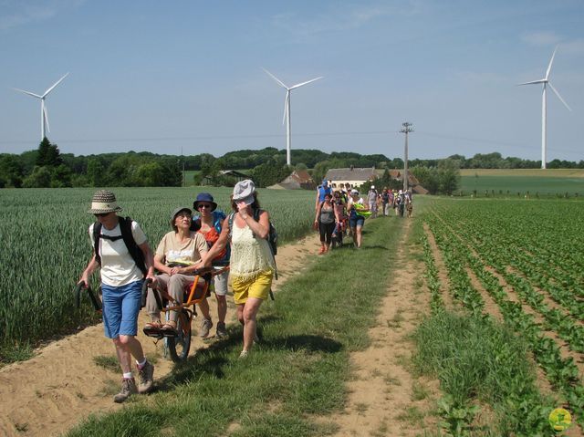 Randonnée joëlettes à Feluy