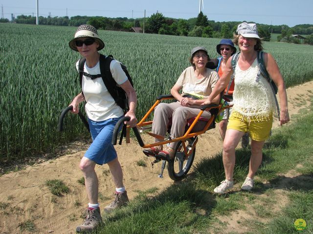 Randonnée joëlettes à Feluy