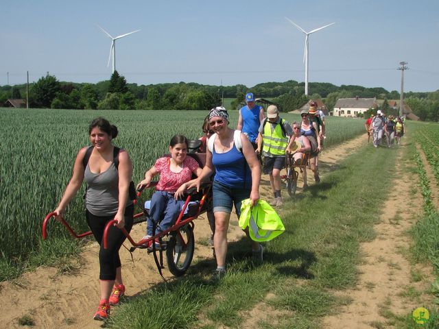 Randonnée joëlettes à Feluy