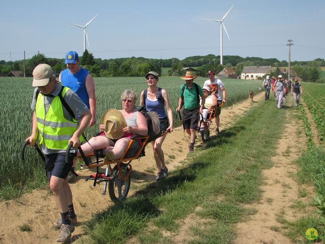 Randonnée joëlettes à Feluy