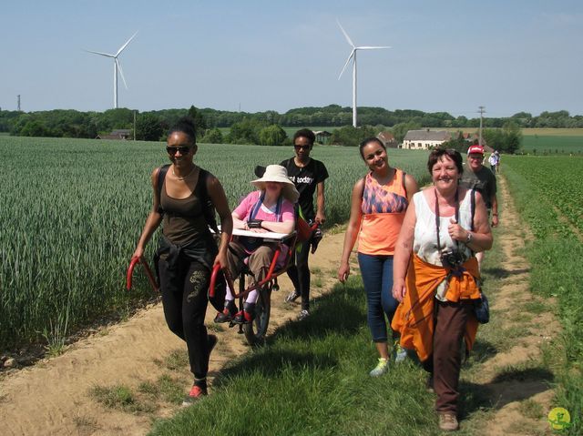 Randonnée joëlettes à Feluy