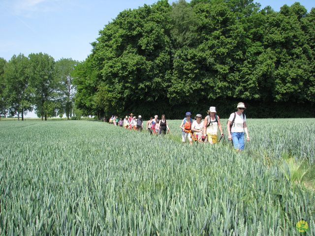 Randonnée joëlettes à Feluy