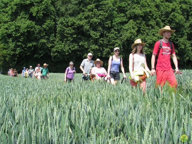 Randonnée joëlettes à Feluy