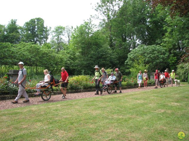 Randonnée joëlettes à Feluy