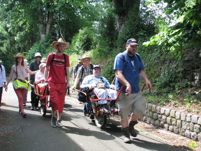 Randonnée joëlettes à Feluy