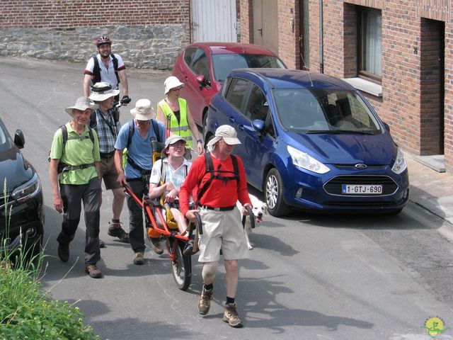 Randonnée joëlettes à Feluy