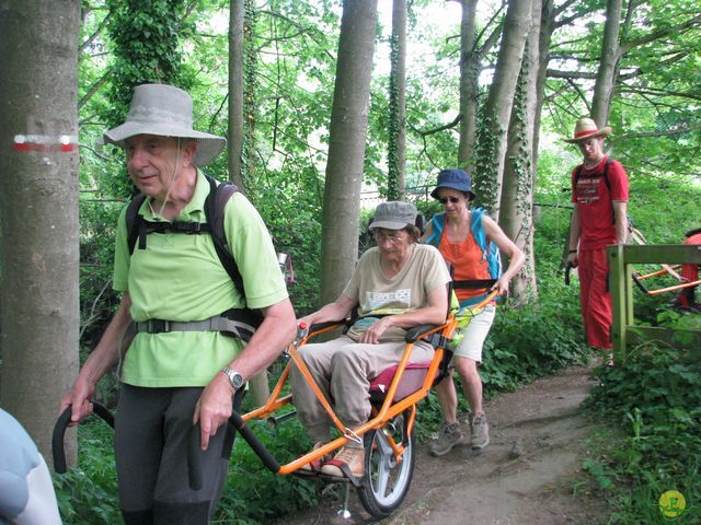 Randonnée joëlettes à Feluy