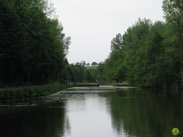 Randonnée joëlettes à Feluy