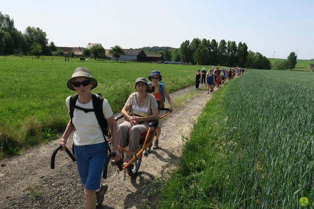 Randonnée joëlettes à Feluy