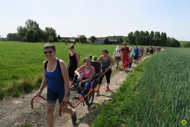 Randonnée joëlettes à Feluy