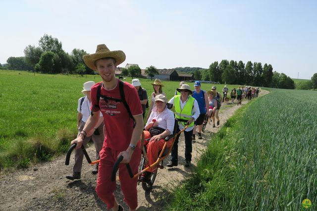 Randonnée joëlettes à Feluy