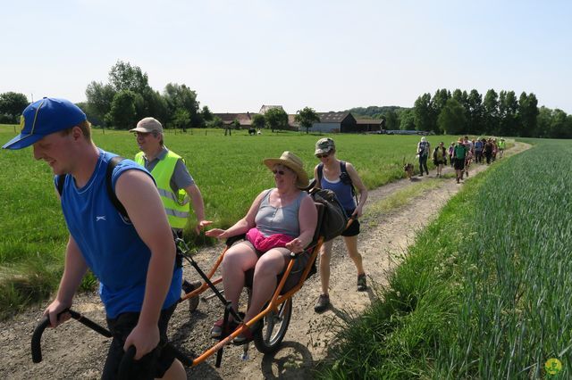 Randonnée joëlettes à Feluy