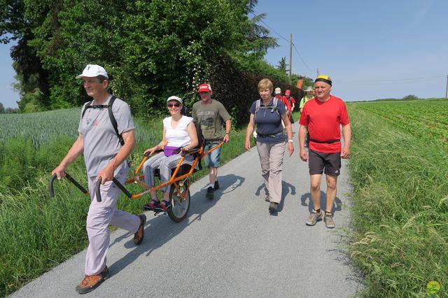 Randonnée joëlettes à Feluy