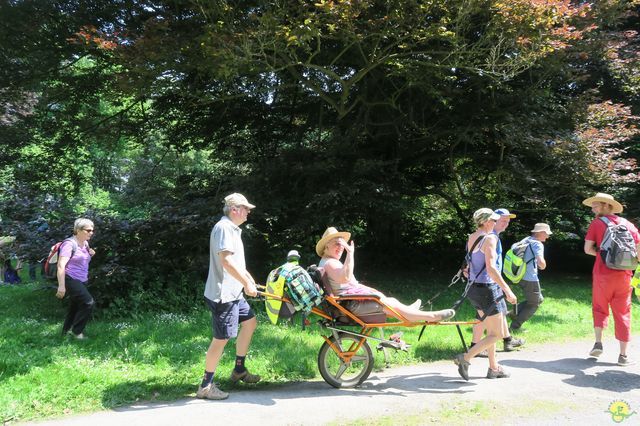 Randonnée joëlettes à Feluy