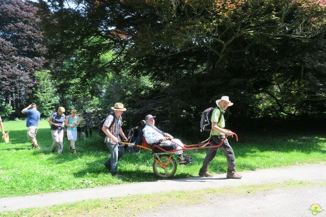 Randonnée joëlettes à Feluy