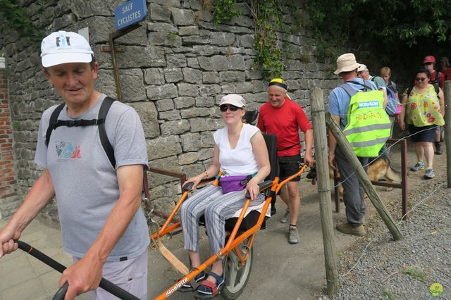 Randonnée joëlettes à Feluy