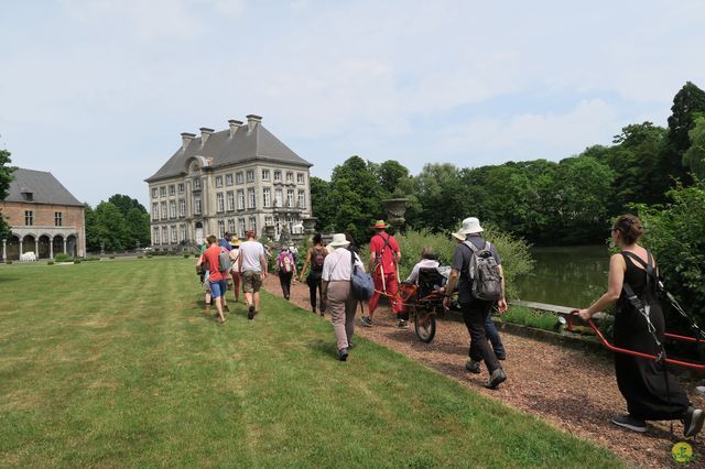 Randonnée joëlettes à Feluy