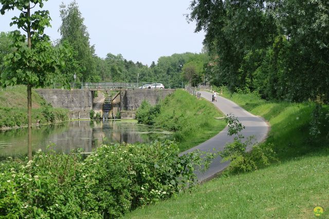 Randonnée joëlettes à Feluy