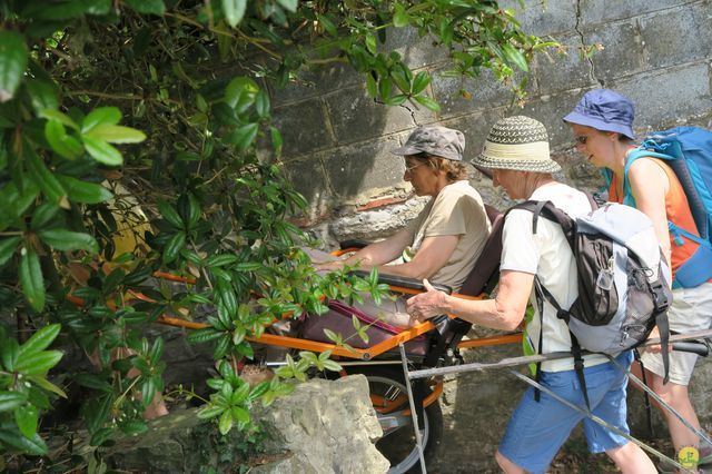 Randonnée joëlettes à Feluy