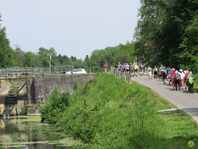 Randonnée joëlettes à Feluy