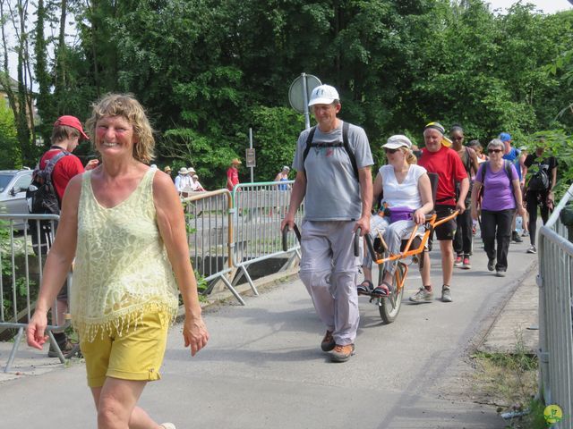 Randonnée joëlettes à Feluy