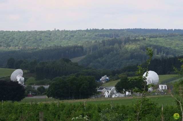 Randonnée joëlettes à Redu