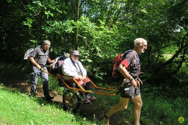 Randonnée joëlettes à Redu