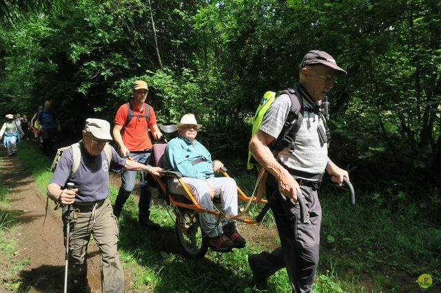 Randonnée joëlettes à Redu