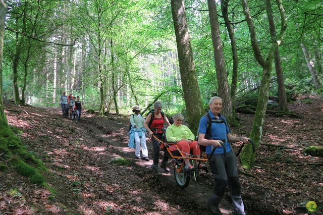 Randonnée joëlettes à Redu