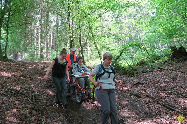 Randonnée joëlettes à Redu