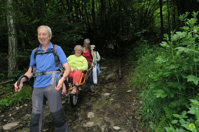 Randonnée joëlettes à Redu