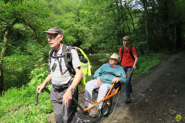 Randonnée joëlettes à Redu