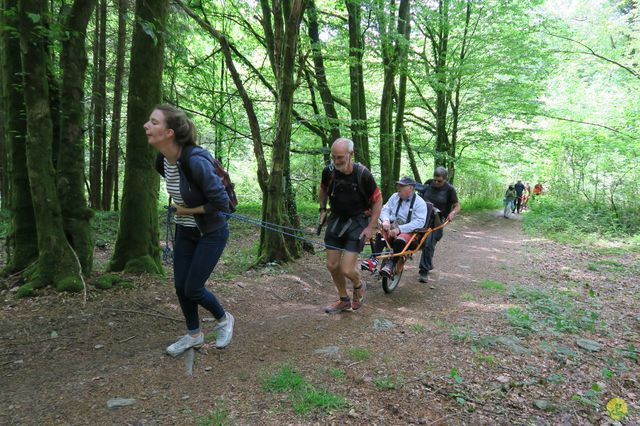 Randonnée joëlettes à Redu