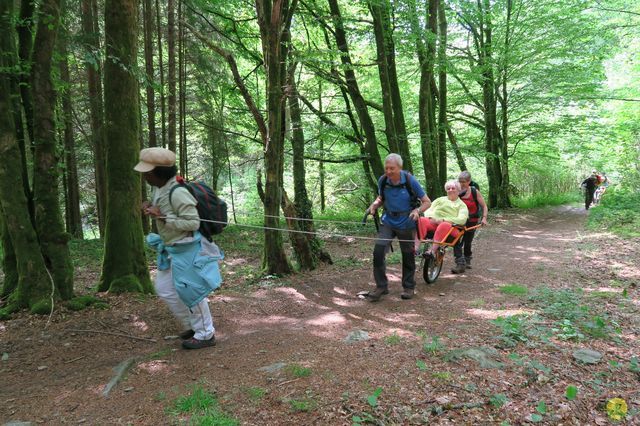 Randonnée joëlettes à Redu