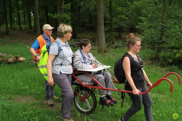 Randonnée joëlettes à Redu