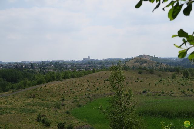 Randonnée joëlettes à Monceau