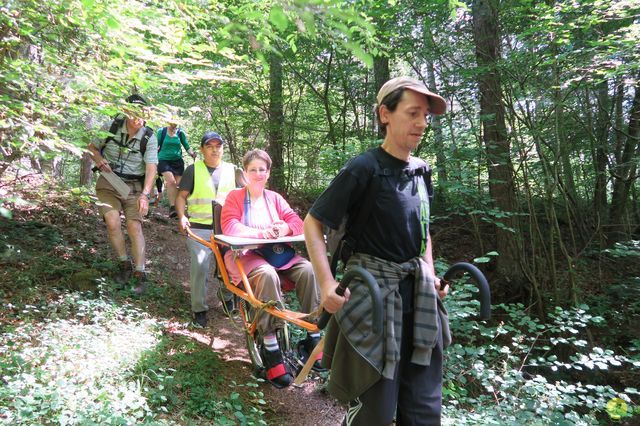 Randonnée joëlettes à Nismes