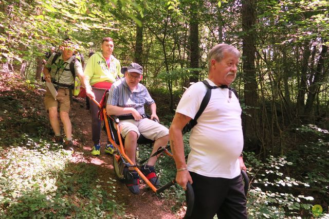 Randonnée joëlettes à Nismes