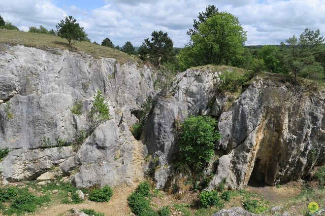 Randonnée joëlettes à Nismes