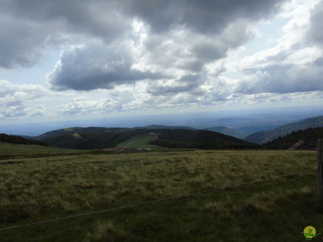 Randonnée joëlettes à Ramonchamp