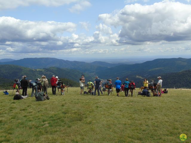 Randonnée joëlettes à Ramonchamp