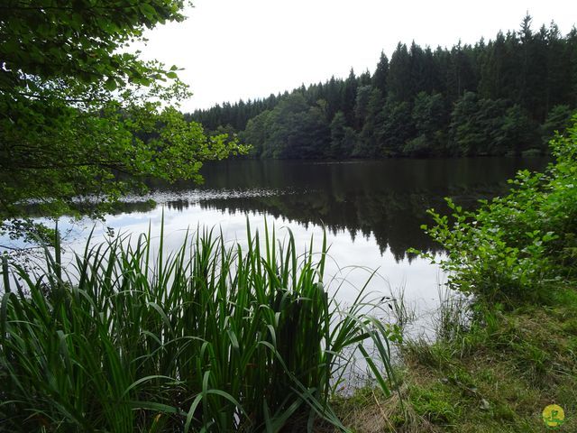 Randonnée joëlettes à Ramonchamp